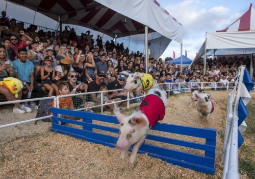 The Annual Orange County Fair: A Must-Attend Event in Southern California